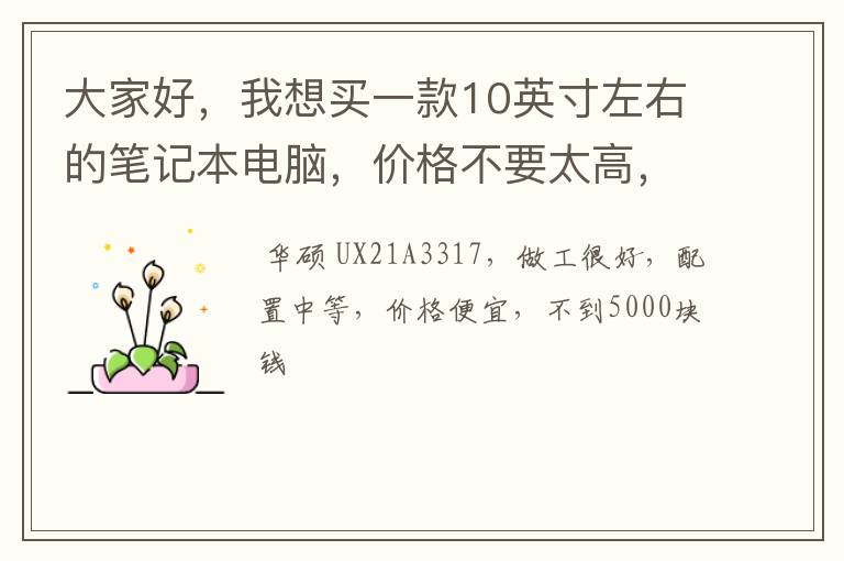 大家好,我想买一款10英寸左右的笔记本电脑,价格不要太高,配置中等的就可以,主要是要大品牌的,请大