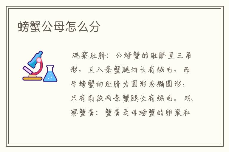 螃蟹公母怎么分