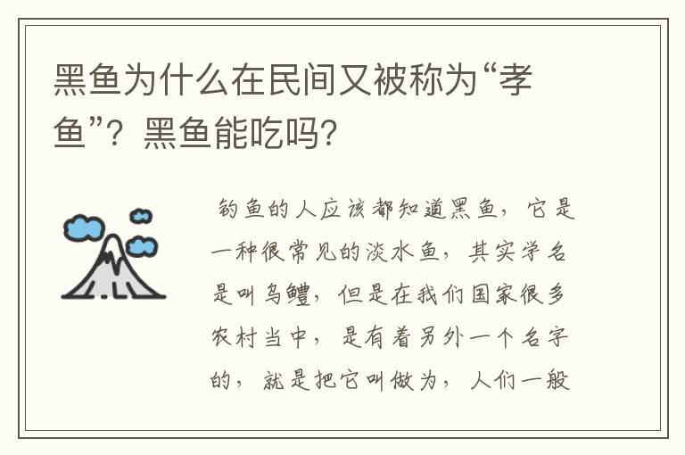 黑鱼为什么在民间又被称为“孝鱼”？黑鱼能吃吗？