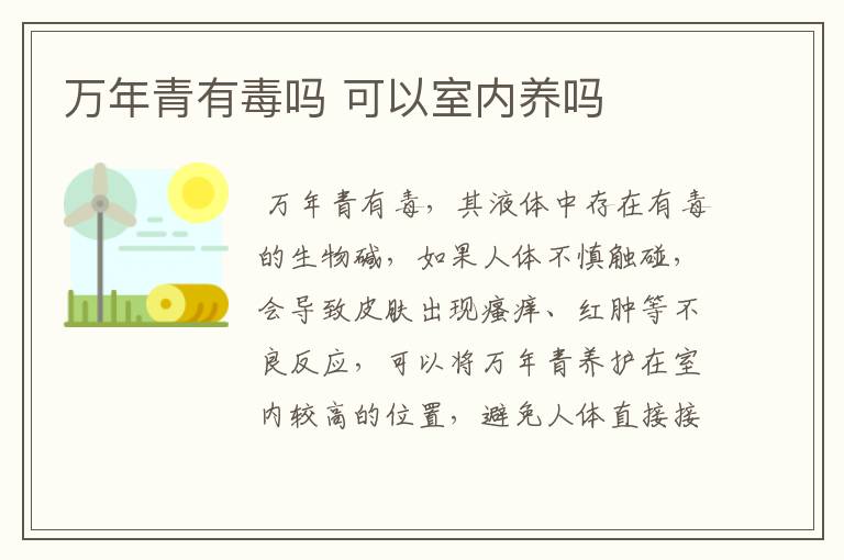 万年青有毒吗 可以室内养吗