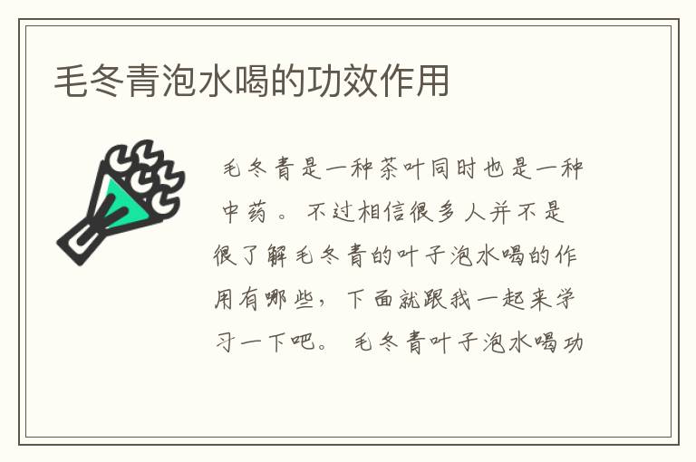 毛冬青泡水喝的功效作用