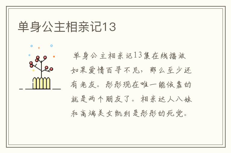 单身公主相亲记13
