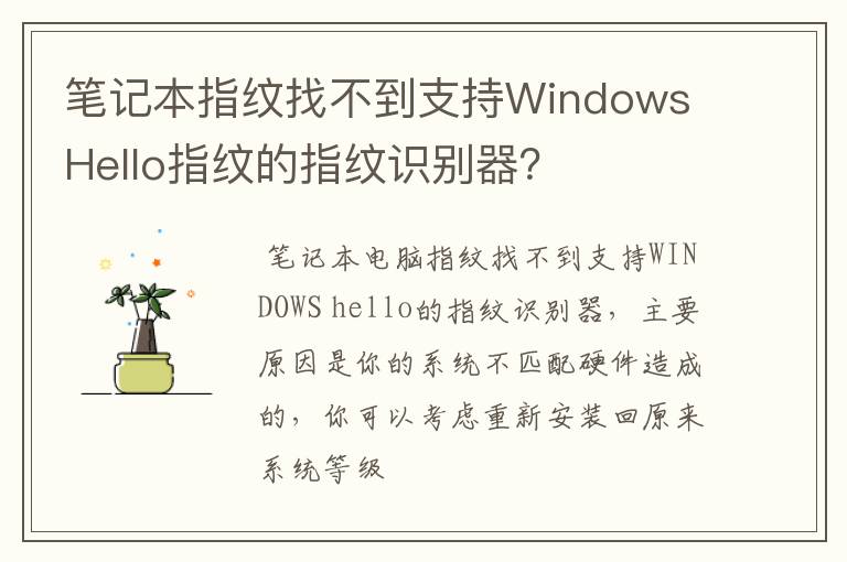 笔记本指纹找不到支持Windows Hello指纹的指纹识别器?