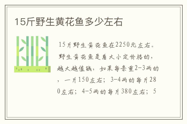 15斤野生黄花鱼多少左右
