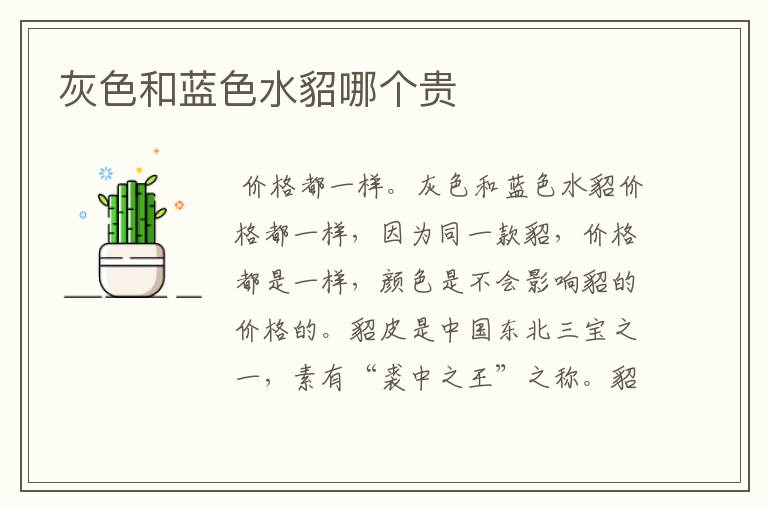 灰色和蓝色水貂哪个贵