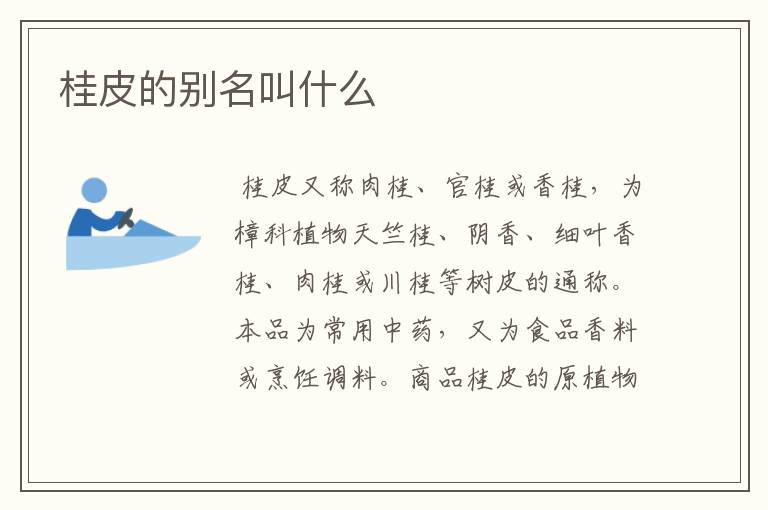 桂皮的别名叫什么