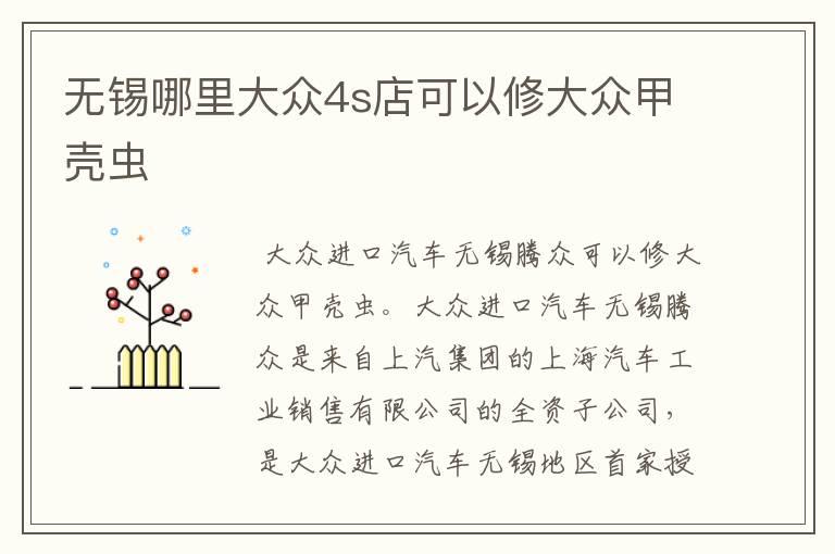 无锡哪里大众4s店可以修大众甲壳虫