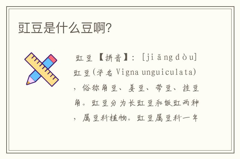 豇豆是什么豆啊？