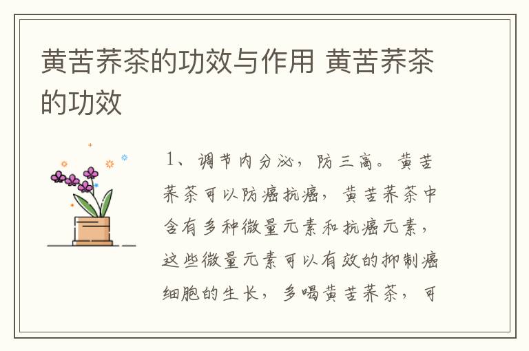 黄苦荞茶的功效与作用 黄苦荞茶的功效