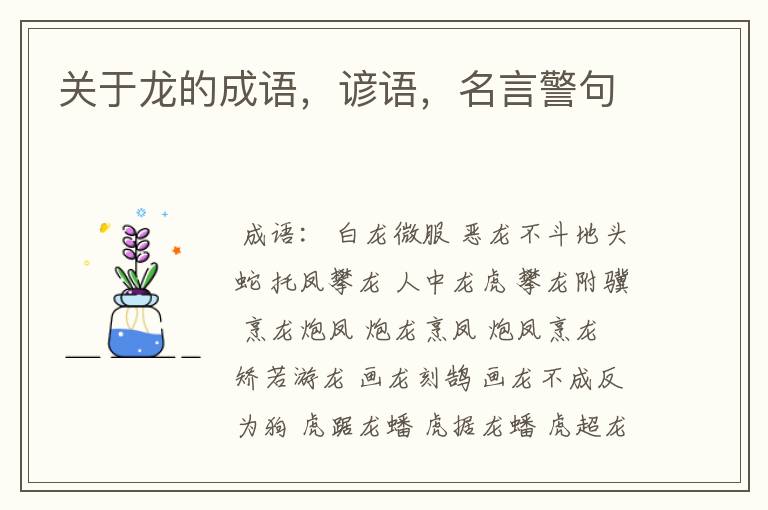 关于龙的成语,谚语,名言警句