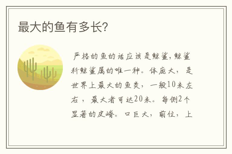 最大的鱼有多长？
