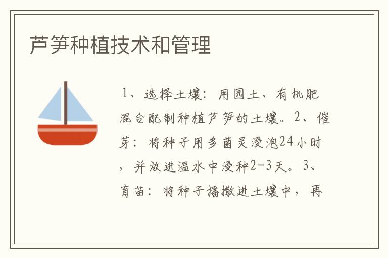 芦笋种植技术和管理