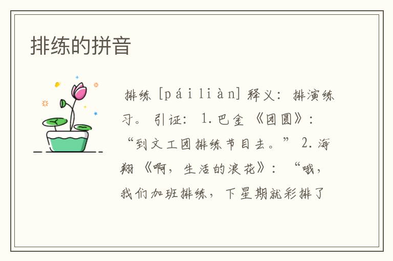 排练的拼音