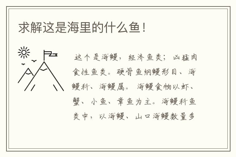 求解这是海里的什么鱼！