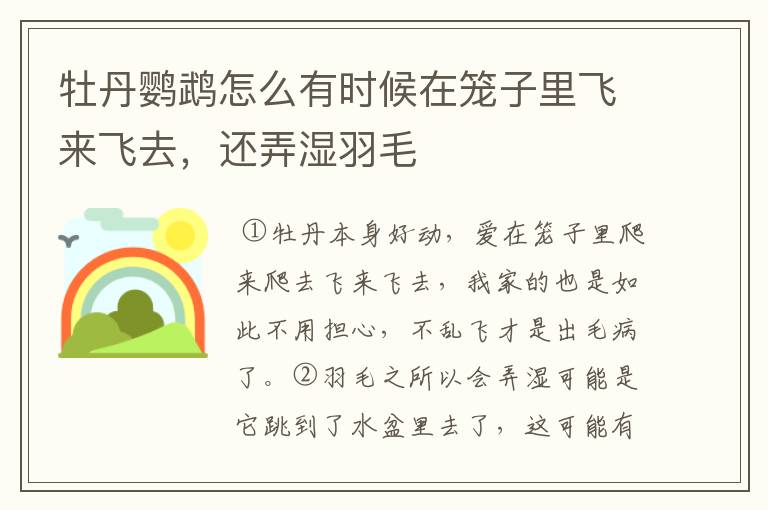 牡丹鹦鹉怎么有时候在笼子里飞来飞去,还弄湿羽毛