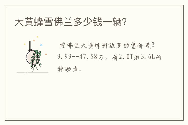 大黄蜂雪佛兰多少钱一辆？