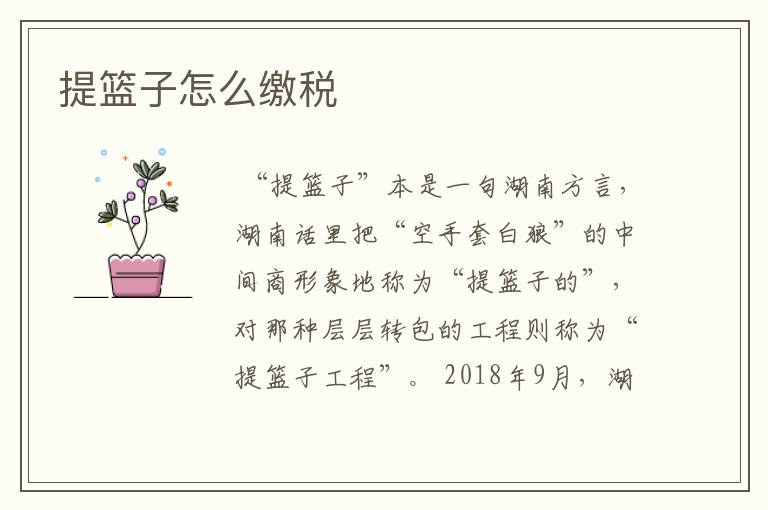 提篮子怎么缴税