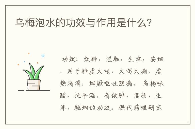 乌梅泡水的功效与作用是什么？