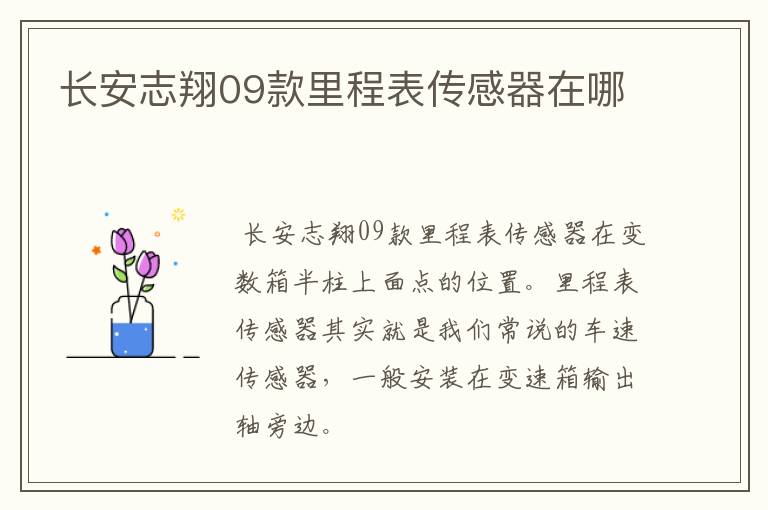 长安志翔09款里程表传感器在哪