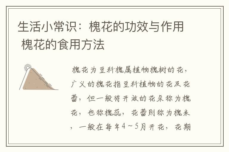 生活小常识：槐花的功效与作用 槐花的食用方法