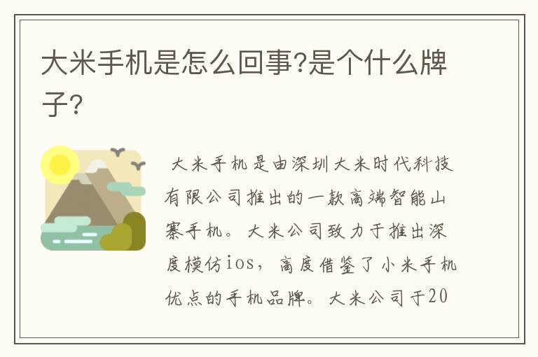 大米手机是怎么回事?是个什么牌子?