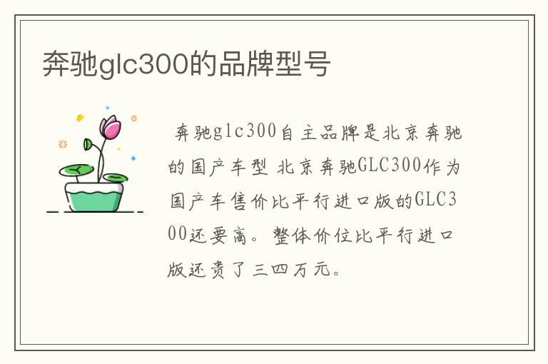奔驰glc300的品牌型号