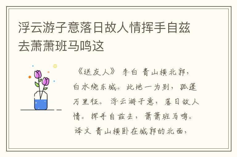 浮云游子意落日故人情挥手自兹去萧萧班马鸣这