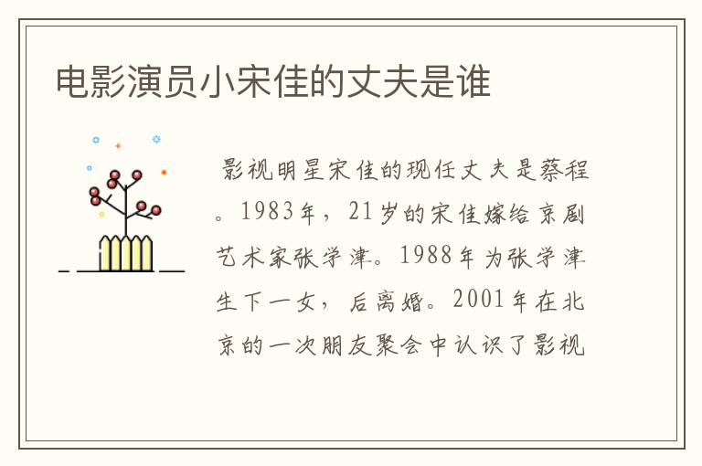电影演员小宋佳的丈夫是谁