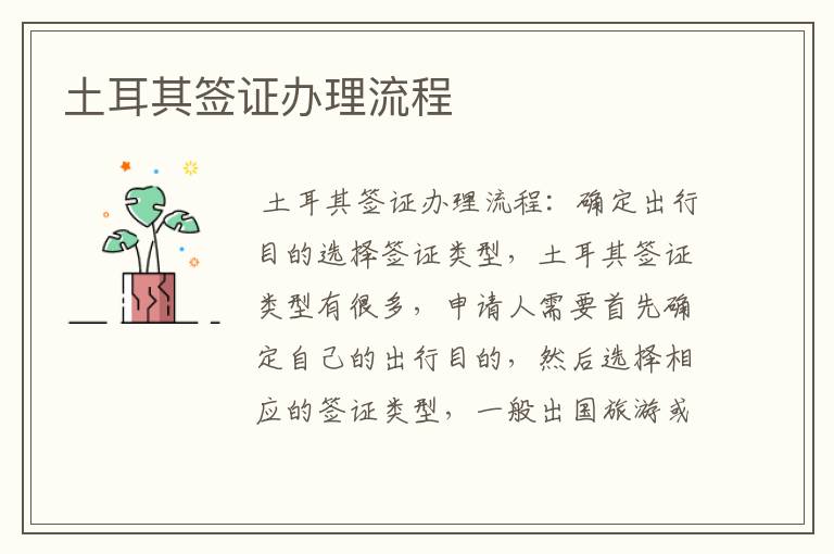 土耳其签证办理流程