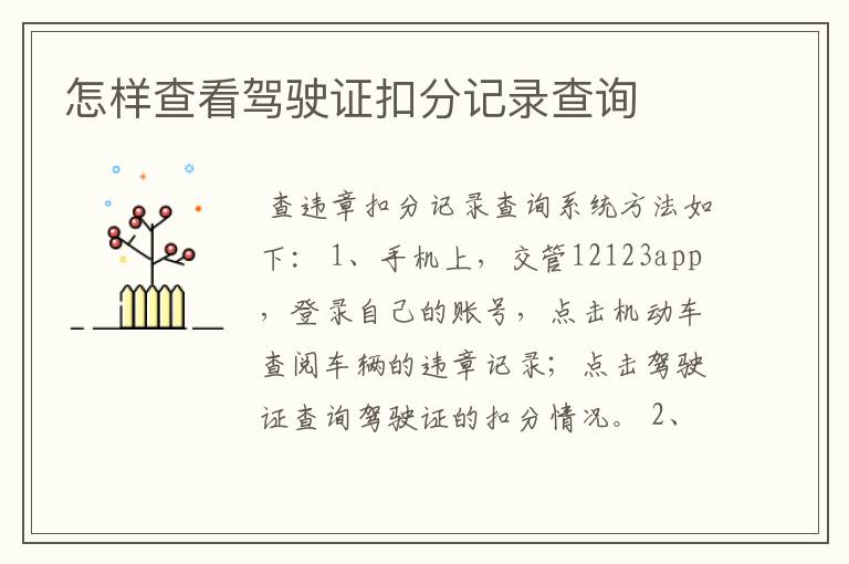 怎样查看驾驶证扣分记录查询