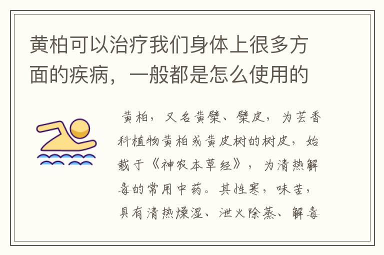 黄柏可以治疗我们身体上很多方面的疾病，一般都是怎么使用的？