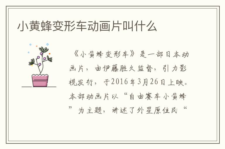 小黄蜂变形车动画片叫什么