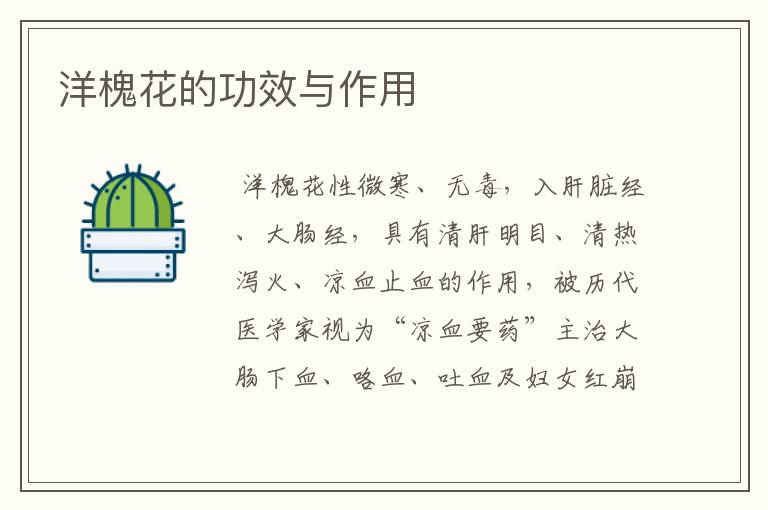洋槐花的功效与作用