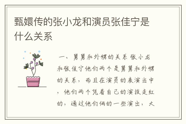 甄嬛传的张小龙和演员张佳宁是什么关系