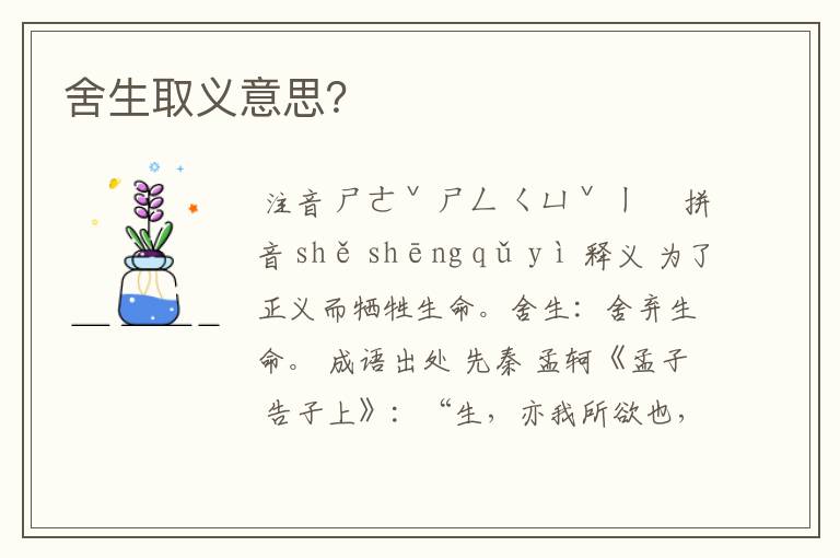 舍生取义意思？