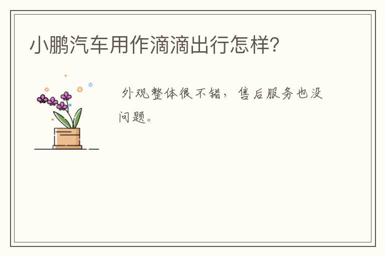 小鹏汽车用作滴滴出行怎样?