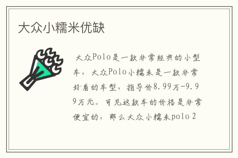 大众小糯米优缺