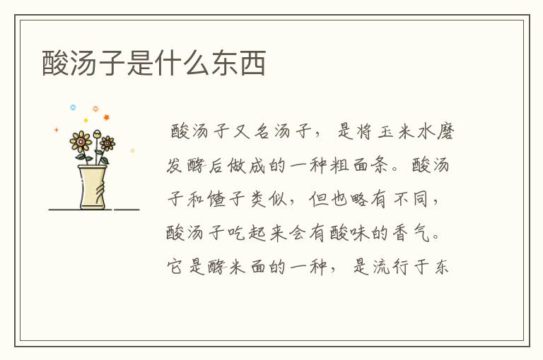 酸汤子是什么东西