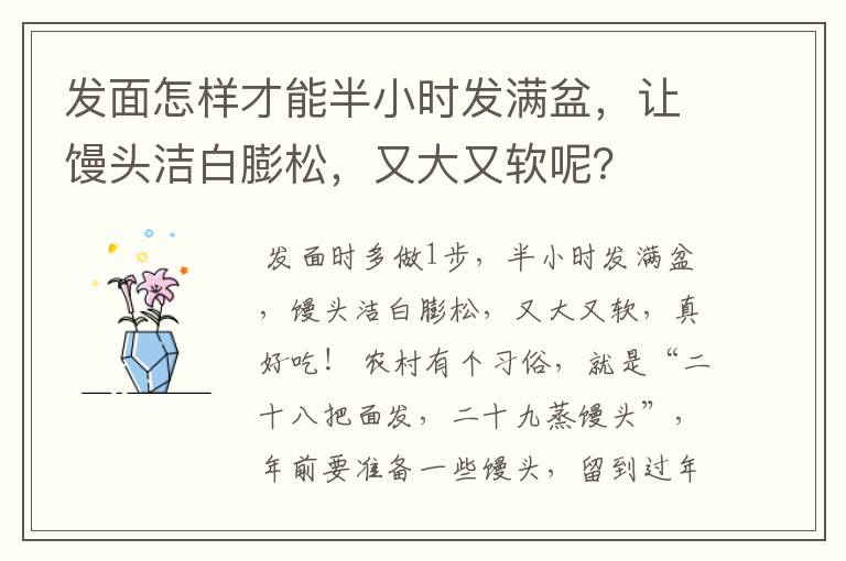 发面怎样才能半小时发满盆,让馒头洁白膨松,又大又软呢?