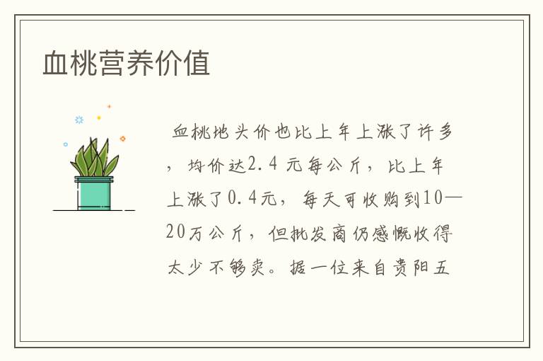 血桃营养价值