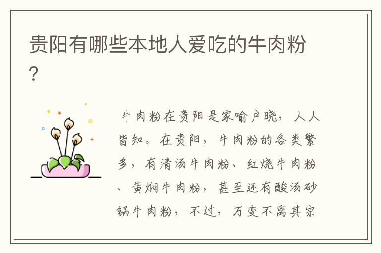 贵阳有哪些本地人爱吃的牛肉粉?