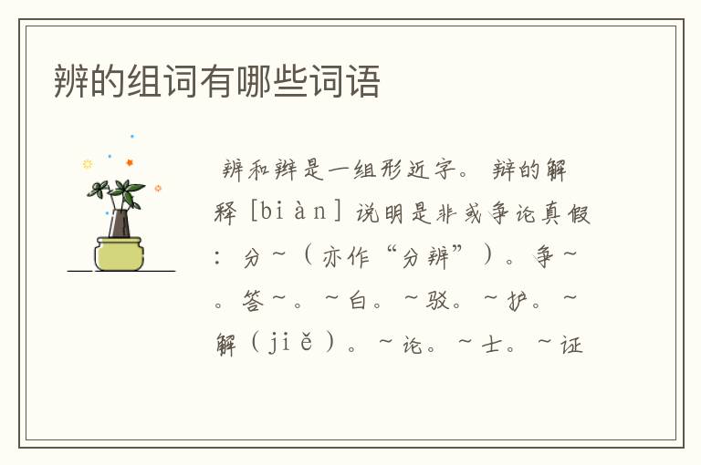 辨的组词有哪些词语