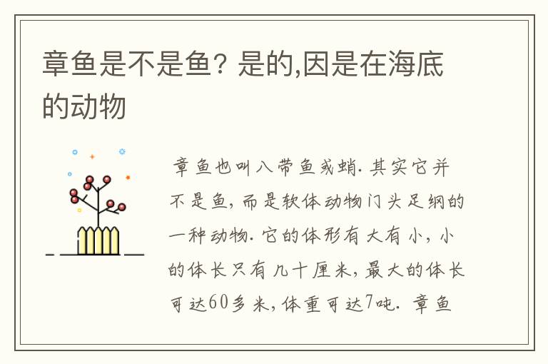 章鱼是不是鱼? 是的,因是在海底的动物