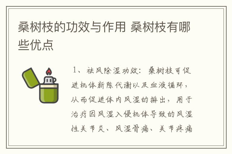 桑树枝的功效与作用 桑树枝有哪些优点