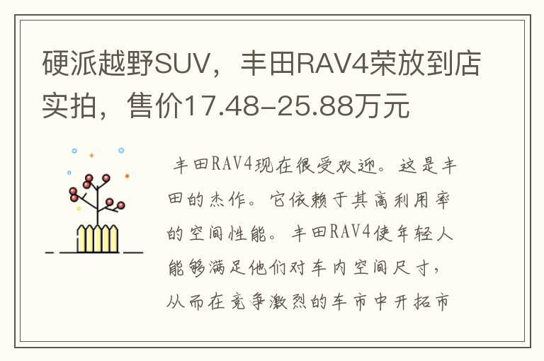 硬派越野SUV，丰田RAV4荣放到店实拍，售价17.48-25.88万元