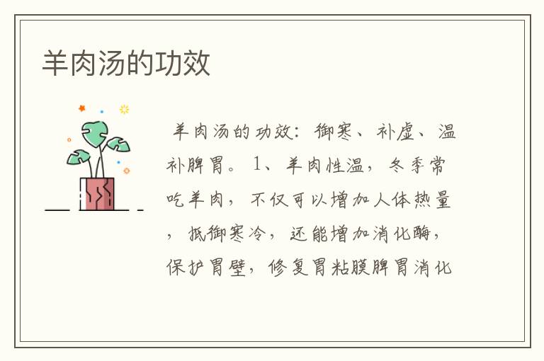 羊肉汤的功效