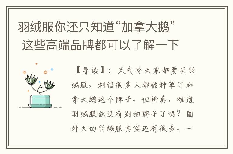 羽绒服你还只知道“加拿大鹅” 这些高端品牌都可以了解一下