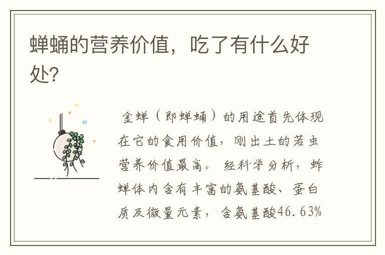 蝉蛹的营养价值，吃了有什么好处？