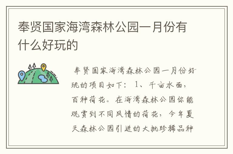 奉贤国家海湾森林公园一月份有什么好玩的