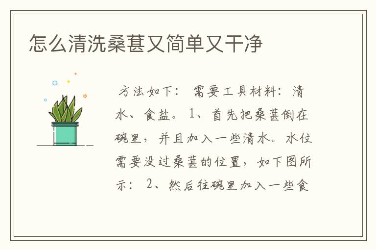 怎么清洗桑葚又简单又干净